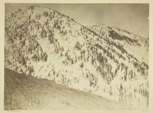 Snow Peaks, Bull Run bányászati körzet, Nevada alkotó: Timothy O