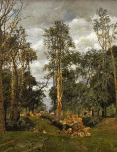 Felborult méret