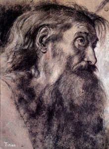Öregember feje Tiziano Vecellio rajza, Tizianus (1485-1576) 16. századi Párizs, Louvre Múzeum alkotó: Titian (c.1488 1576)