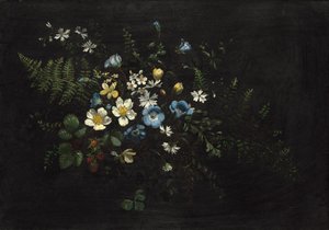 Virágok és páfrányok permetezése alkotó: Titian Ramsay Peale