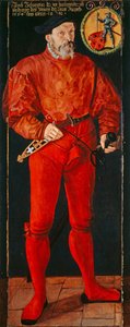Jacob Schwytzer zürichi zászlóvivő portréja, 1564