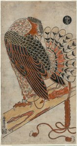 Sparrowhawk (Konori Taka) alkotó: Torii Kiyomasu I