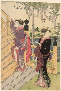 A Wisteria megcsodálása a Kameido szentélyben alkotó: Torii Kiyonaga