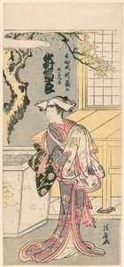 Nakamura és Mijuro Doctor Asa Femae Fox tagja, Te S a Te Pay-ből, Jigo torii jumping fox (Nakamura és Mijuro nőstény rókája a Mt. alkotó: Torii Kiyonaga