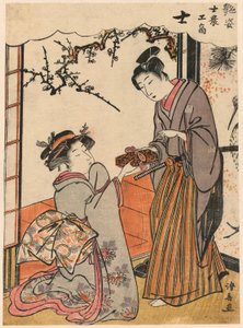 A szamuráj (Shi) a Szépségek a négy társadalmi osztályt szemléltető sorozatból (Adesugata shi no ko sho) alkotó: Torii Kiyonaga