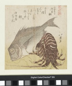 A Yanagiya tengeri sügér Odawara Chôben Odawara Chô Yanagiya tai (cím a tárgyon) Edo híres termékei (sorozat címe) Edo meibutsu (sorozat címe az objektumon) alkotó: Totoya Hokkei