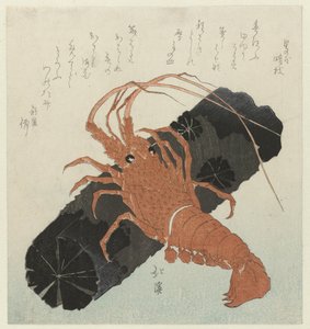 Homár szénnel alkotó: Totoya Hokkei