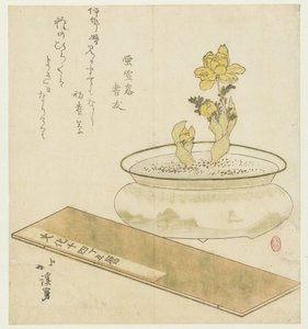 Cserepes növény és almanach alkotó: Totoya Hokkei