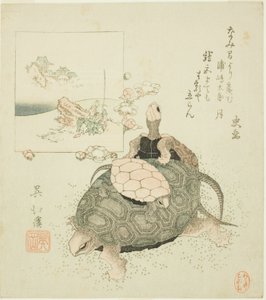 Sea turtles and Urashima Taro alkotó: Totoya Hokkei