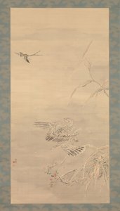 Hawk Grasping a Small Bird, 19. század.