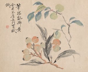Japán naspolyafa.
