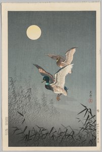 Tokiói nézetek: Kacsák alkotó: Tsuchiya Kōitsu