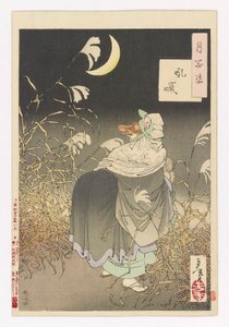 A róka kiáltása: # 13. a One Hundred Aspects of the Moon-ból