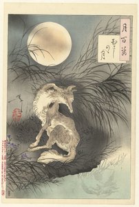 hungarian alkotó: Tsukioka Yoshitoshi