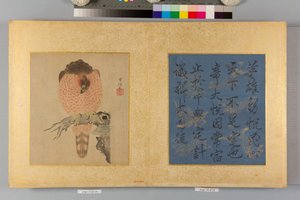  alkotó: Tsunenobu Kano