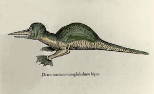 Egy tengeri sárkány ábrázolása. Ulisse Aldrovandi (1522-1605) természetrajzi kéziratának táblája szörnyekről