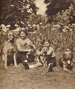 - És barátok, Erzsébet és Mária hercegnők a királyi páholyban, Windsor, c1936 1937 alkotó: Unbekannt