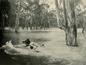 Egy bankár, 1901. alkotó: Unbekannt