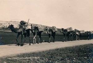 Egy tevevonat Damaszkuszba, 1936 alkotó: Unbekannt