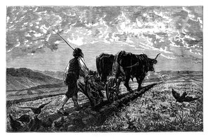 Egy francia mezőgazdasági szakember, 1890 alkotó: Unbekannt