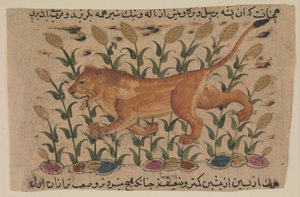 Oroszlán, folio Shahmardan ibn Abi