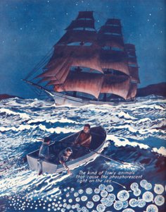 Élő éjszakai fényekkel megvilágított tenger, 1935 alkotó: Unbekannt