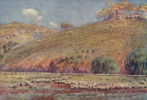 Egy birkafutás, 1923. alkotó: Unbekannt
