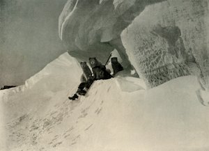 Egy hópárkány, c1908, 1909. alkotó: Unbekannt
