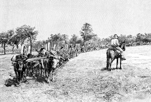 Egy kocsikonvoj, Dél-Amerika, 1895 alkotó: Unbekannt