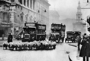Egy birkanyáj a Strandon, Londonban, 1926-1927 alkotó: Unbekannt
