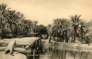 A Kora túloldalán, Basra, c1918-c1939. alkotó: Unbekannt