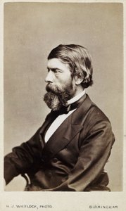Alexander William Williamson, skót kémikus, 1865 alkotó: Unbekannt