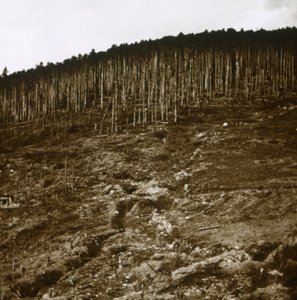 Elzász, c1914-c1918 alkotó: Unbekannt