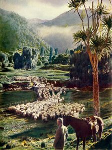 Amid the Beauties of New Zealands Sheep Farms, 1948. alkotó: Unbekannt