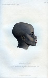 Amochi Galla, egy galla portréja, 1848 alkotó: Unbekannt