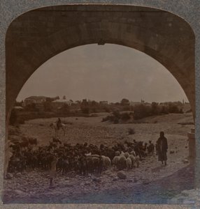 Vízvezeték, amely Jerikót mutatja a boltíven keresztül, 1900. sz alkotó: Unbekannt