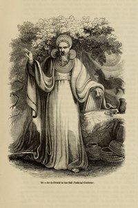 Arch-Druid teljes bírói jelmezében Az Old England: A Pitorial Museum, 1845 című könyvből alkotó: Unbekannt