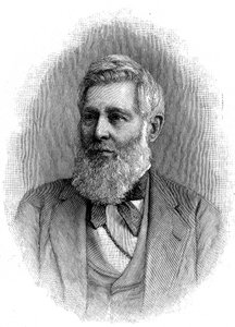 Asa Gray amerikai botanikus, 1888 alkotó: Unbekannt