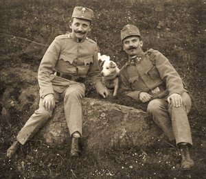 Osztrák katonák kutyával alkotó: Unbekannt