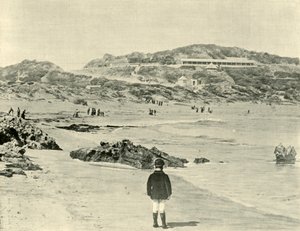 Back Beach, Sorrento, Victoria, 1901. alkotó: Unbekannt