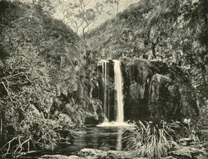 Back Creek vízesés, Buchan folyó, Victoria, 1901. alkotó: Unbekannt