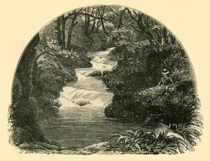 Bagworthy vízi csúszda, 1898. alkotó: Unbekannt