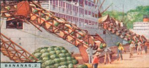 Banán 2. - Gőzhajó betöltése, Costa Rica, 1928 alkotó: Unbekannt