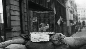 Barikád a Rue de Chateaudun, Párizs felszabadítása, 1944. augusztus alkotó: Unbekannt