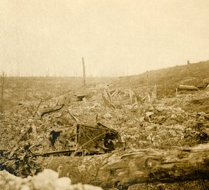 Battlefield, Bezonvaux, Verdun, Észak-Franciaország, 1914-c1918 alkotó: Unbekannt