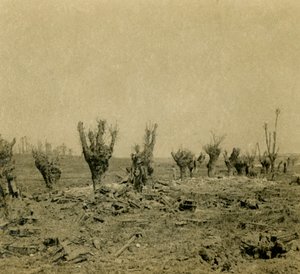 Battlefield, Maurepas, Észak-Franciaország, 1914-c1918 alkotó: Unbekannt