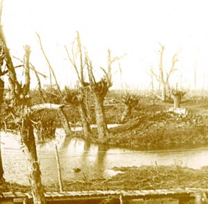 Battlefield, c1914-c1918 alkotó: Unbekannt