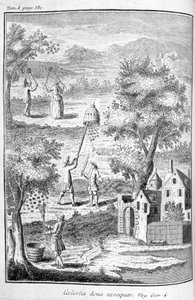 Méhészet, 1775 alkotó: Unbekannt