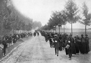 Termonde elől menekülő belgák, első világháború, 1914, 1920 alkotó: Unbekannt