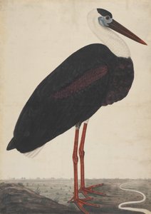 Fekete gólya tájban, kb. 1780. alkotó: Unbekannt